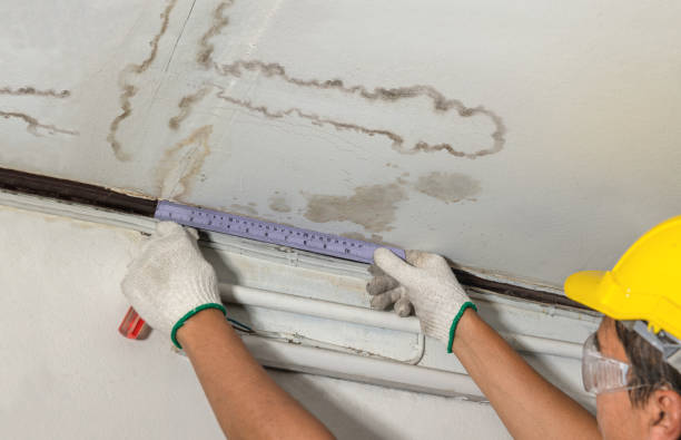 Reliable Mold Remediation contractor in Kersey, CO by Water Damage Irwin
